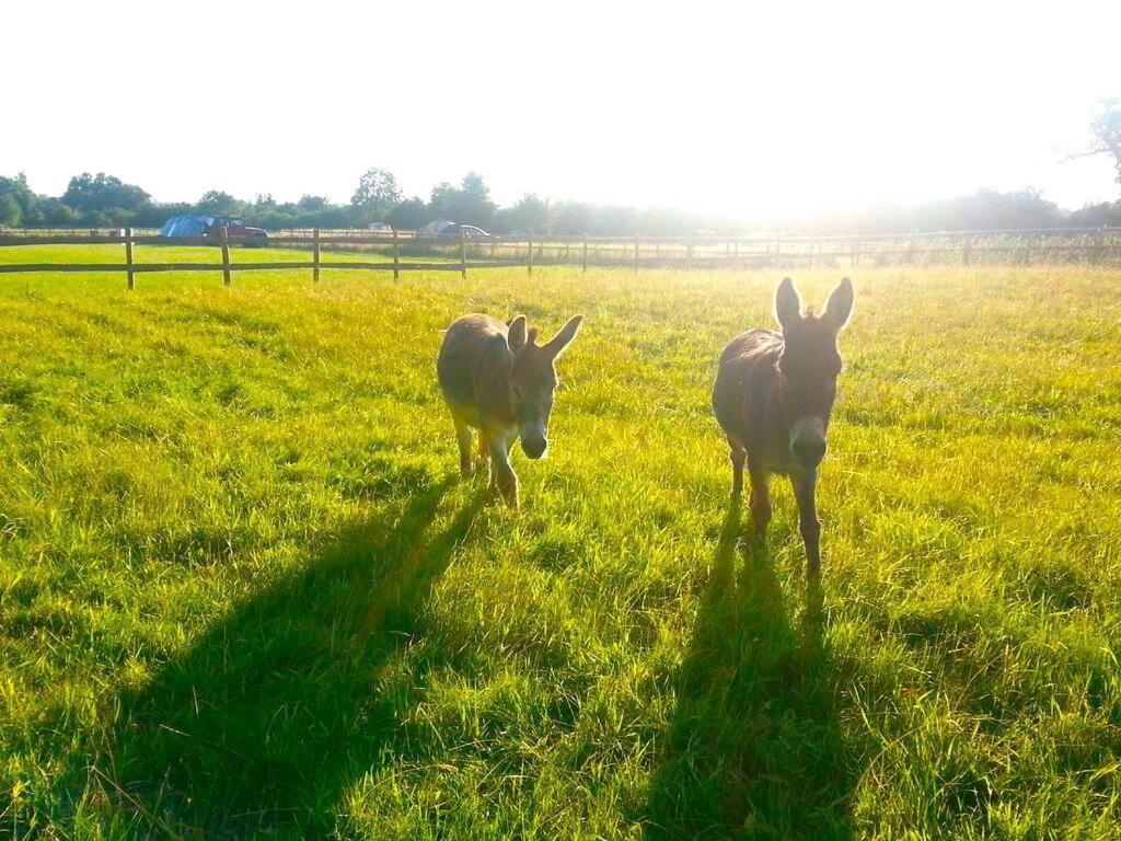 Valley Farm Bells Оксфорд Екстер'єр фото